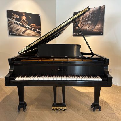 /pianos/used-inventory/steinway-d-548049