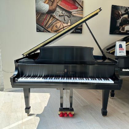/pianos/used-inventory/model-s-560217